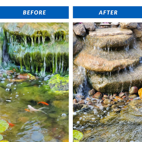 CrystalClear Algae D-Solv reduces green water in ponds.