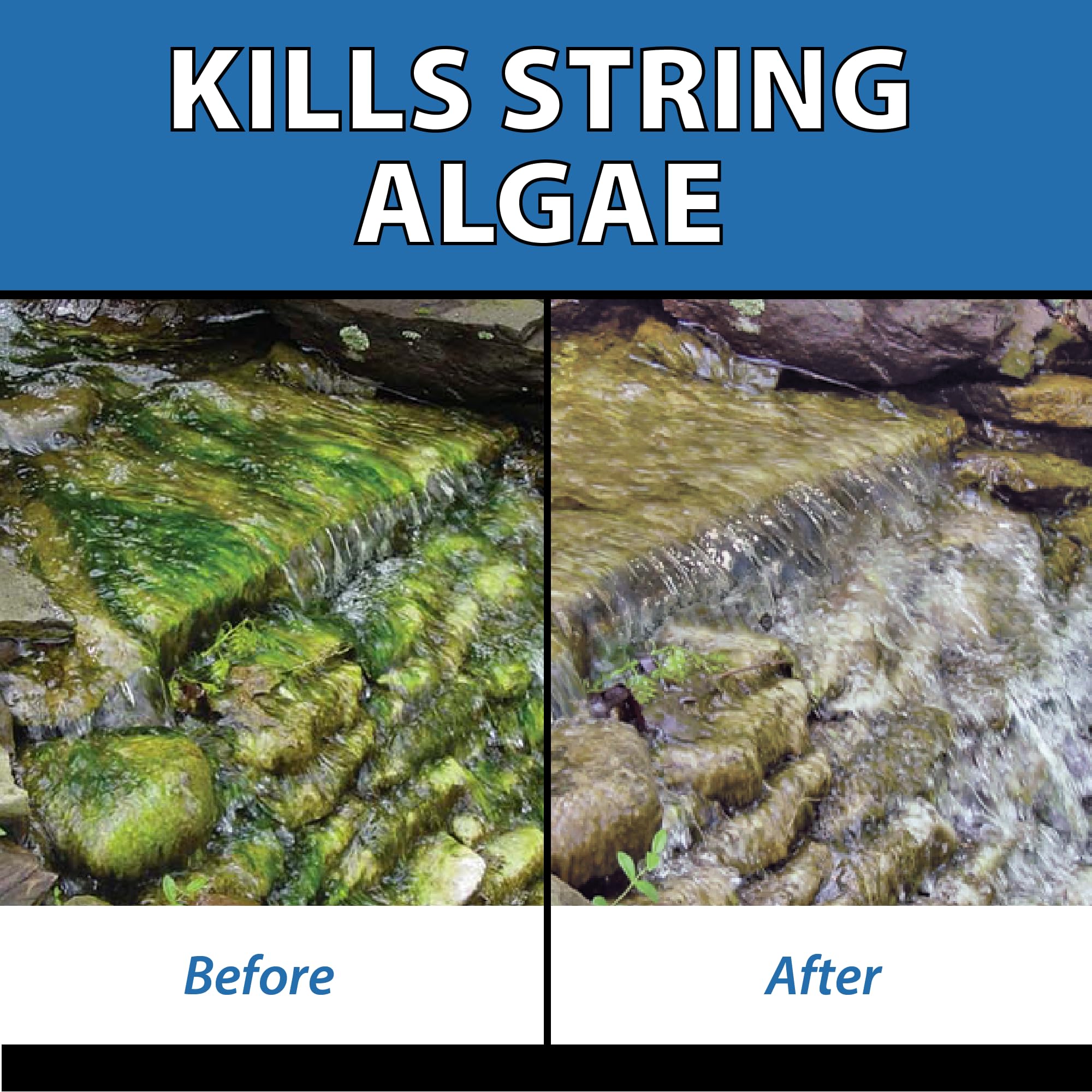 CrystalClear AlgaeOff eco-safe pond area ready for treatment.