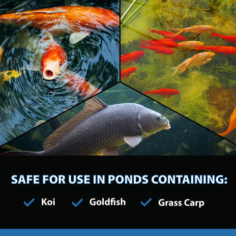 CrystalClear AlgaeOff granules used in pond cleanup near liner.