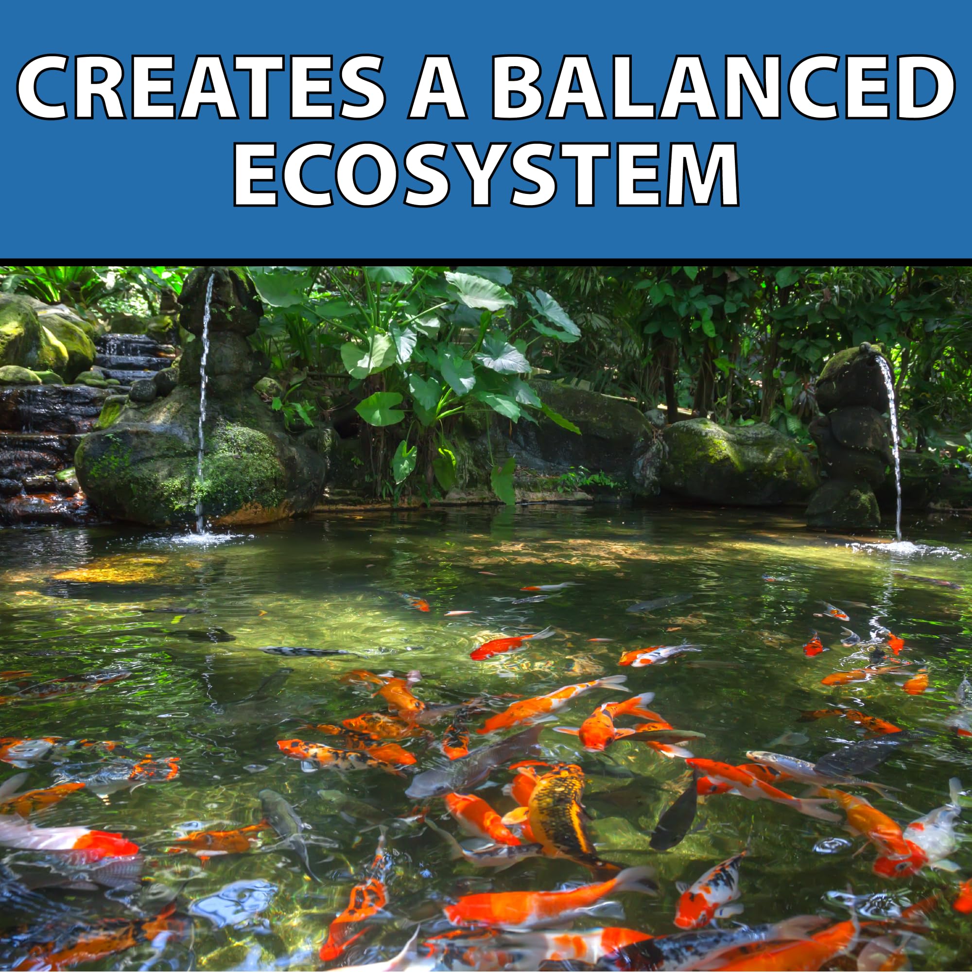 CrystalClear barley extract reduces pond debris for a tidier surface.