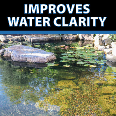 CrystalClear Barley Extract poured into fountain for year-round clarity.