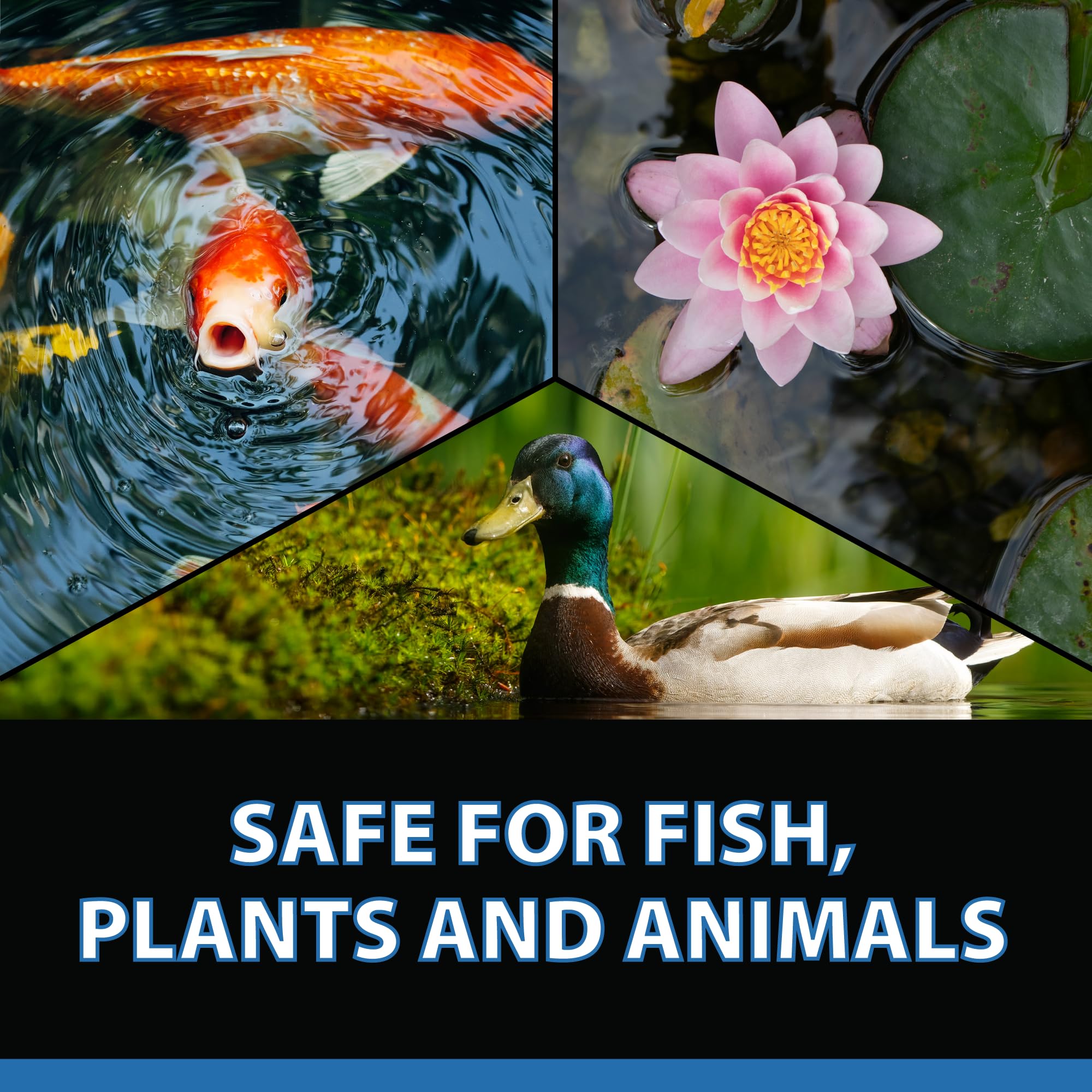 CrystalClear safe-for-aquatic-life formula protects fish and plants when used as directed.