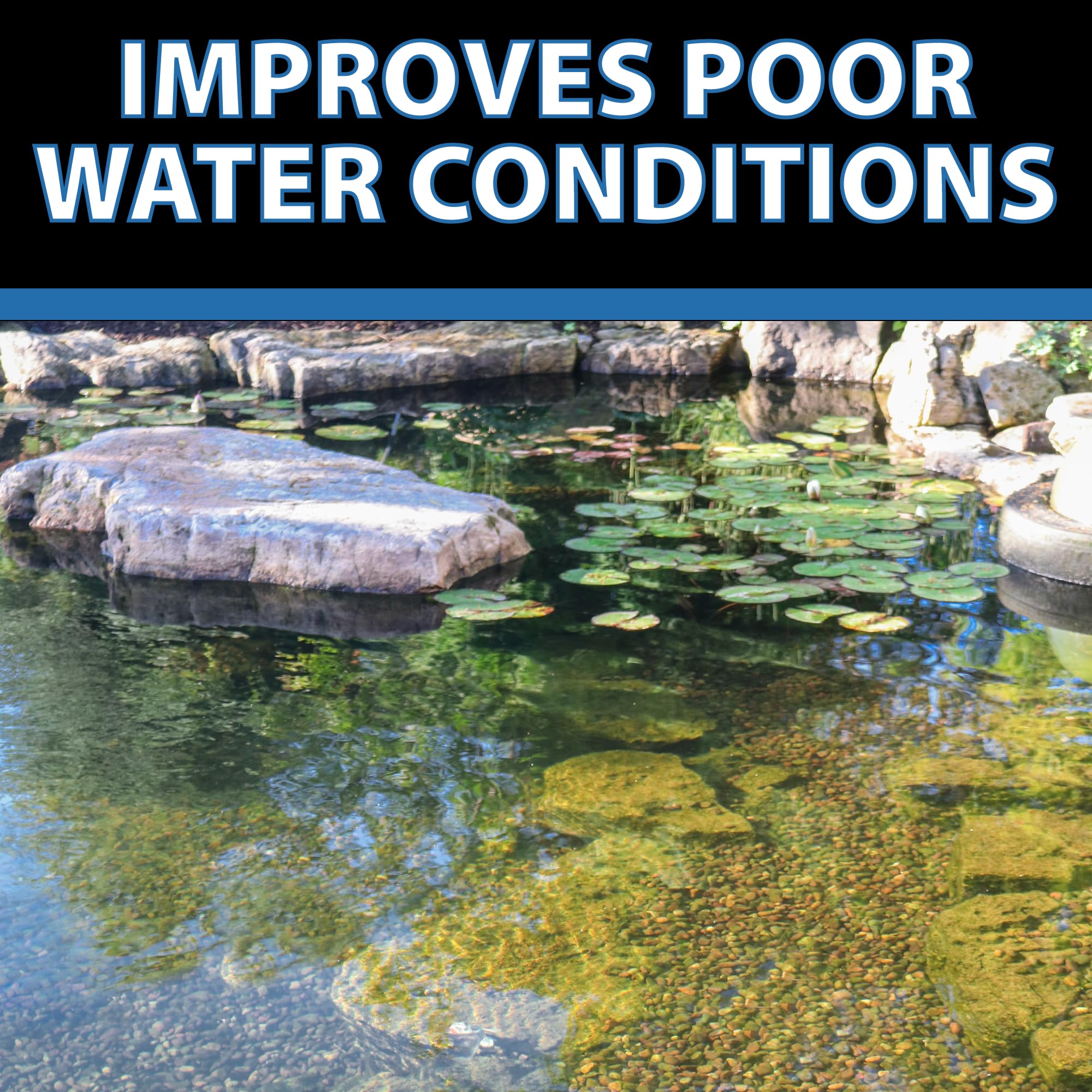 BioClarifier supports biological filters for balance