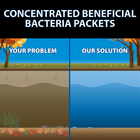 BioClarifier reduces pond odors for a fresher experience