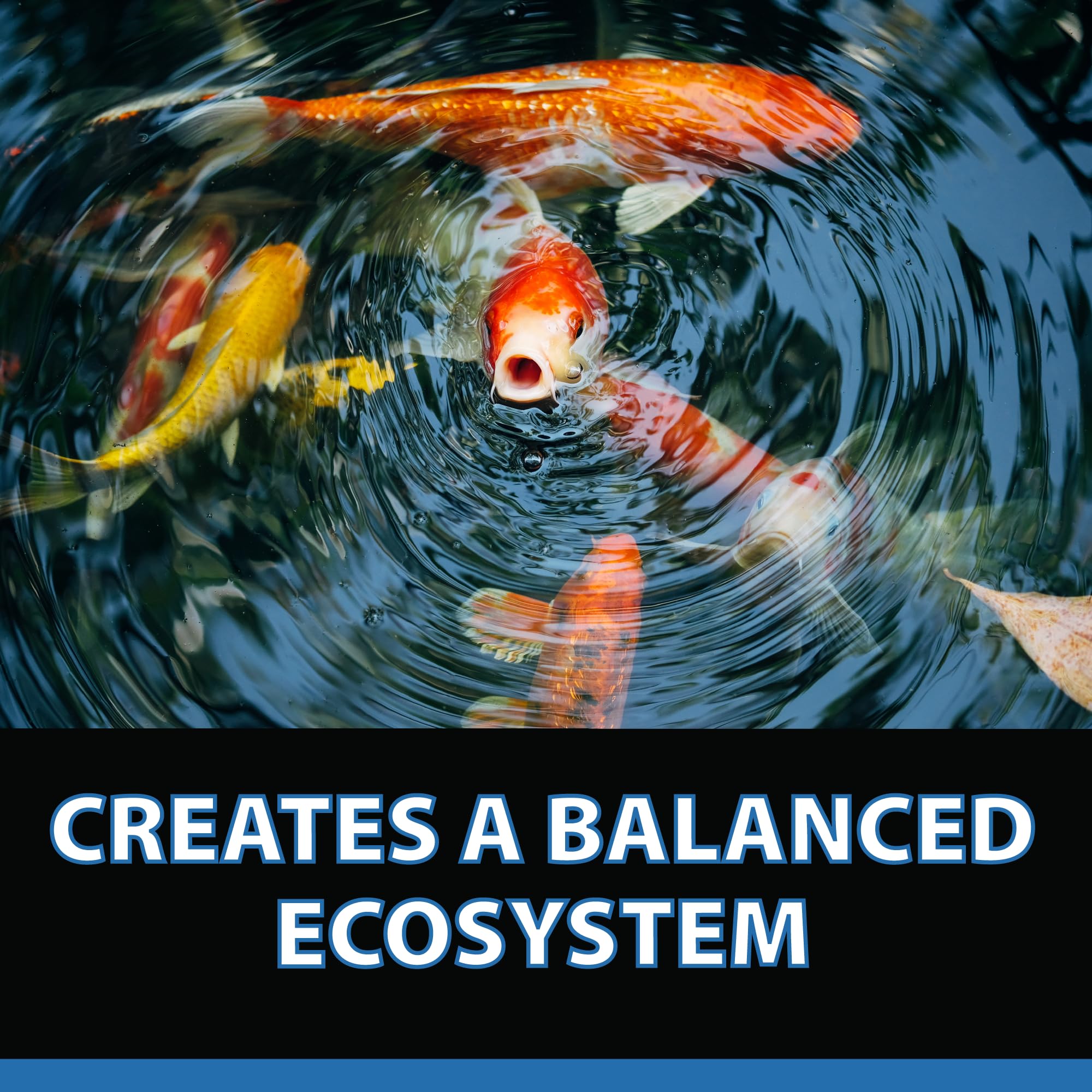 BioClarifier easy-to-use packets for routine pond maintenance