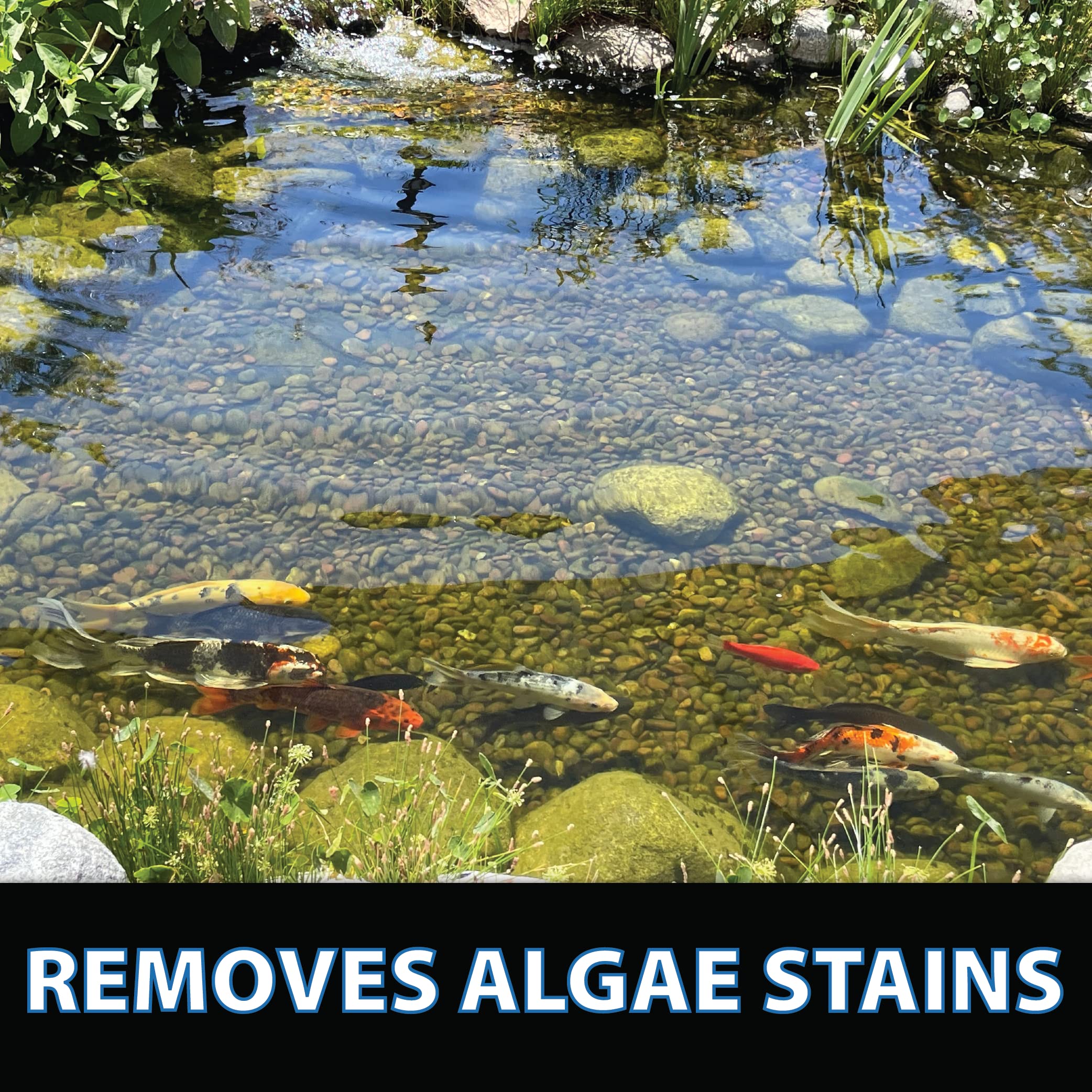 CrystalClear ClarityMax koi-safe pond application reduces staining while preserving koi vitality.