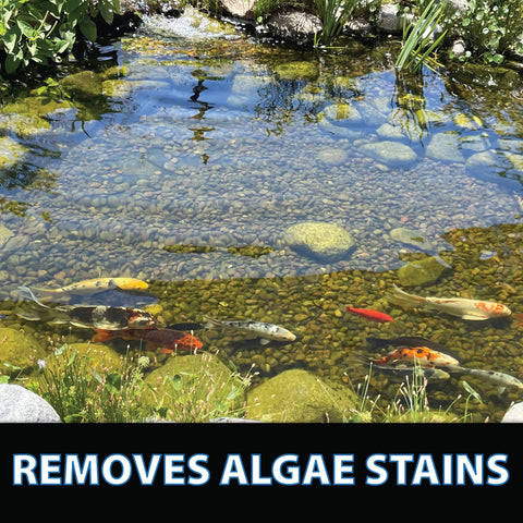 CrystalClear ClarityMax koi-safe pond application reduces staining while preserving koi vitality.