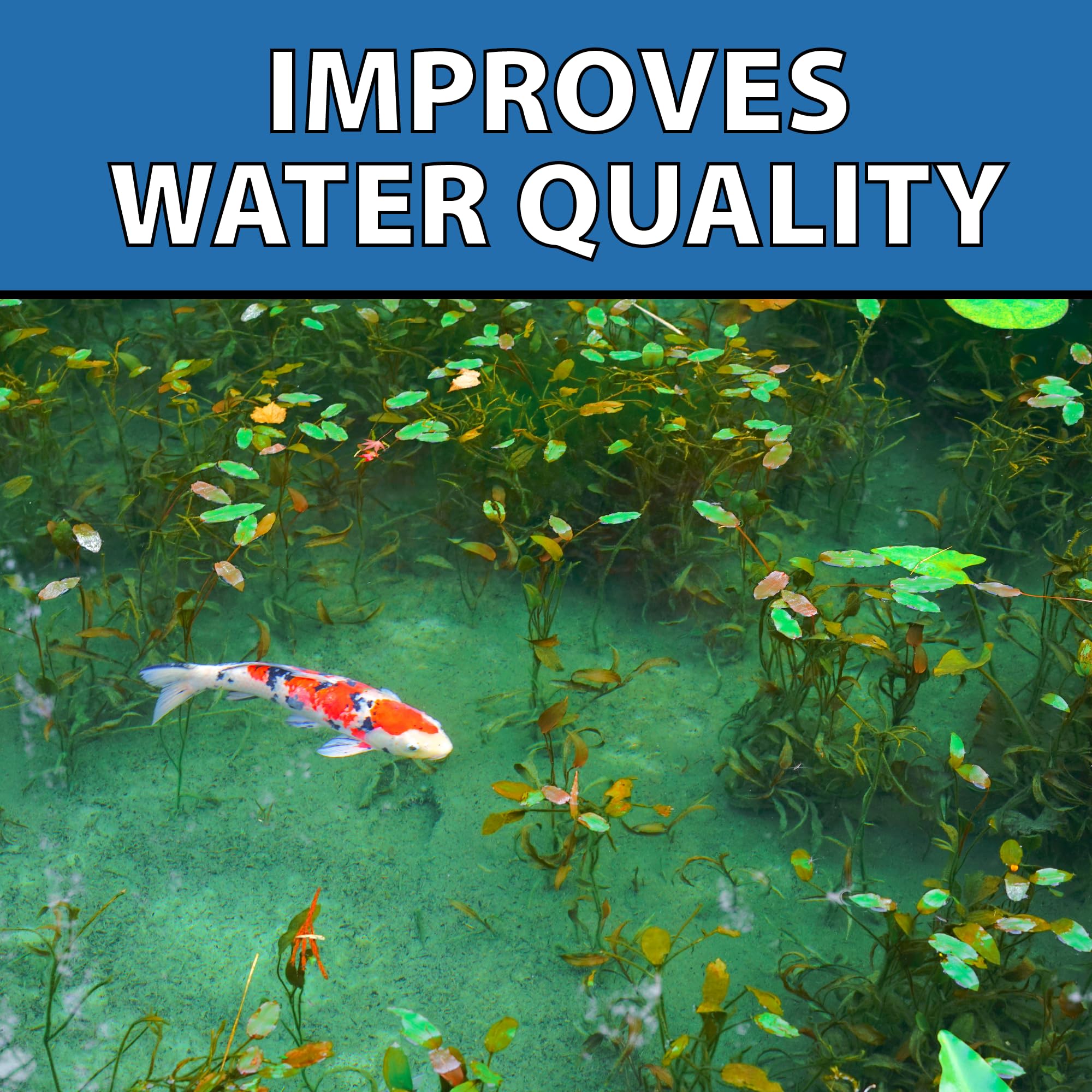 CrystalClear MuckOff action cleans hard-to-reach areas between rocks.