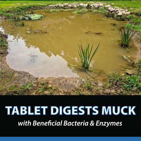 CrystalClear MuckOff packaging showing 96 tablets