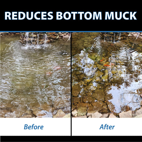 CrystalClear MuckOff debris near rocks being digested for a cleaner pond.