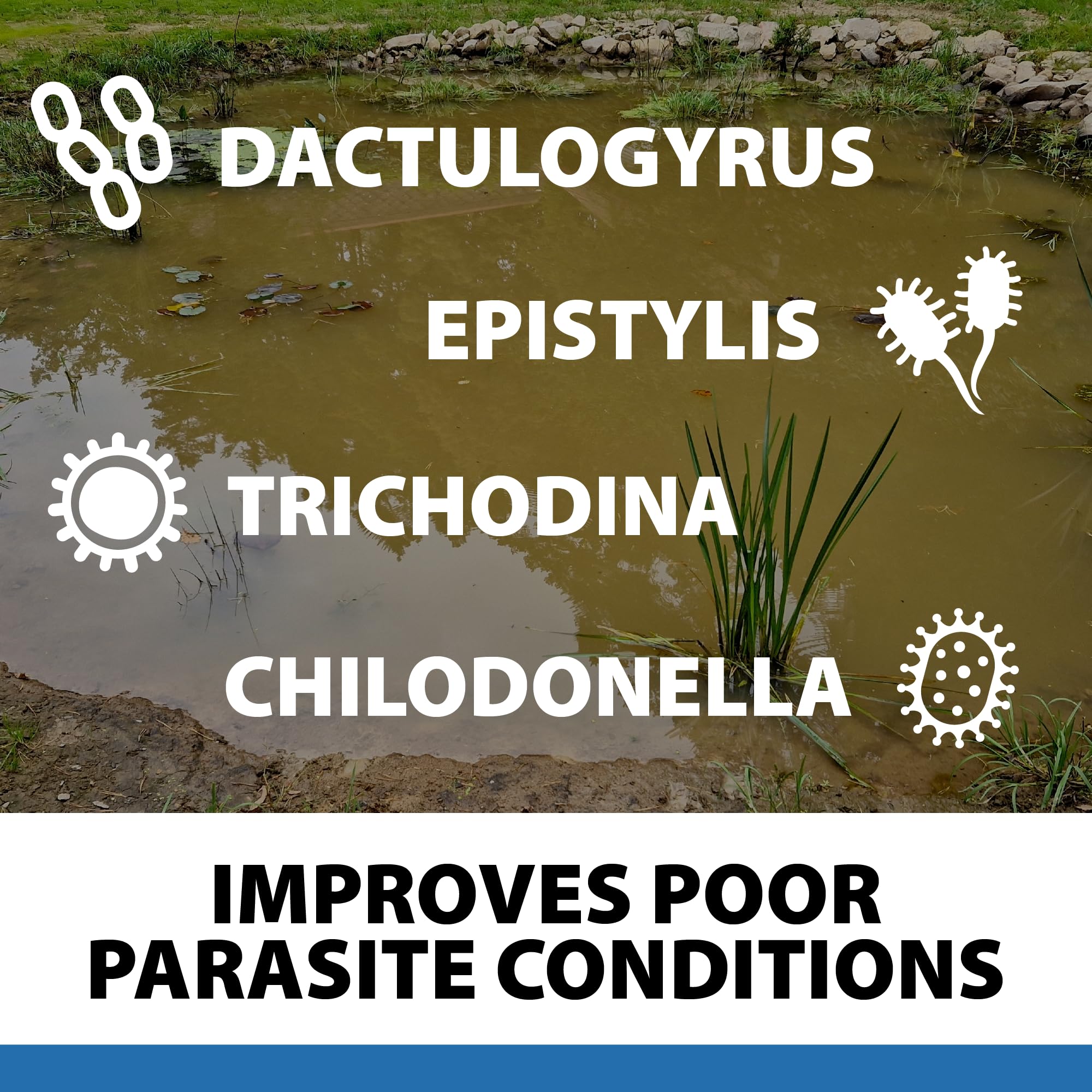 CrystalClear ParaSalt aids parasite control in freshwater ponds.