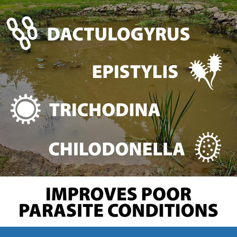 CrystalClear ParaSalt aids parasite control in freshwater ponds.