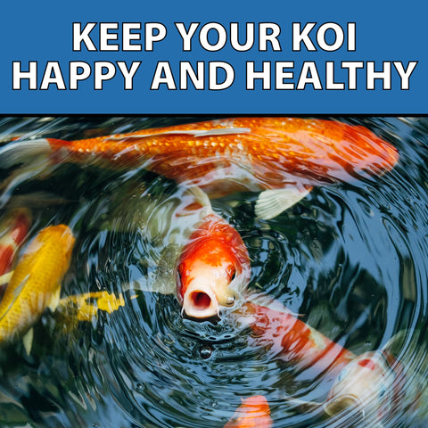CrystalClear ParaSalt supports pond ecosystem for plants, koi, and pets.