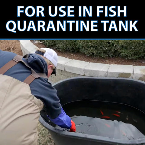 CrystalClear ParaSalt helps maintain slime coat and reduces fish stress.