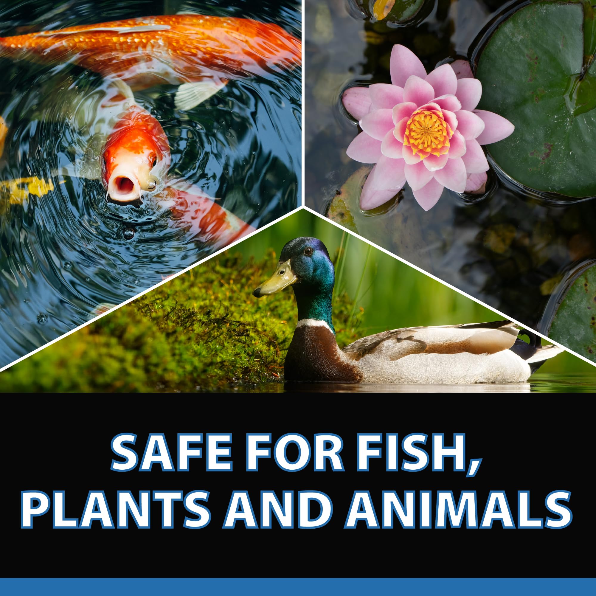 CrystalClear RapiClear safe for fish and aquatic life in fountains