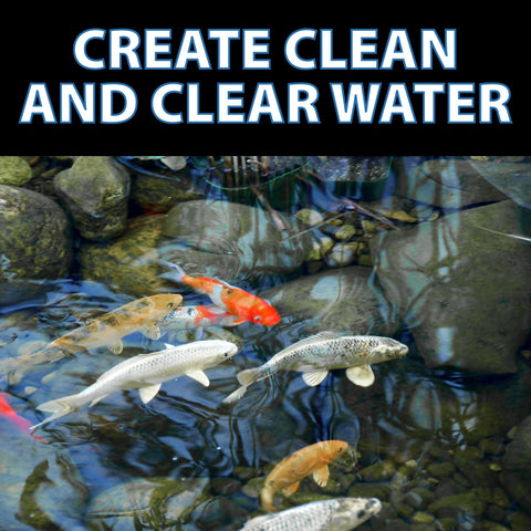 CrystalClear RapiClear supports year-round use for ongoing clarity.