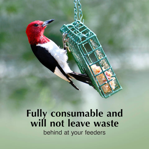 C&S peanut-flavor suet dough delivers energy for active birds