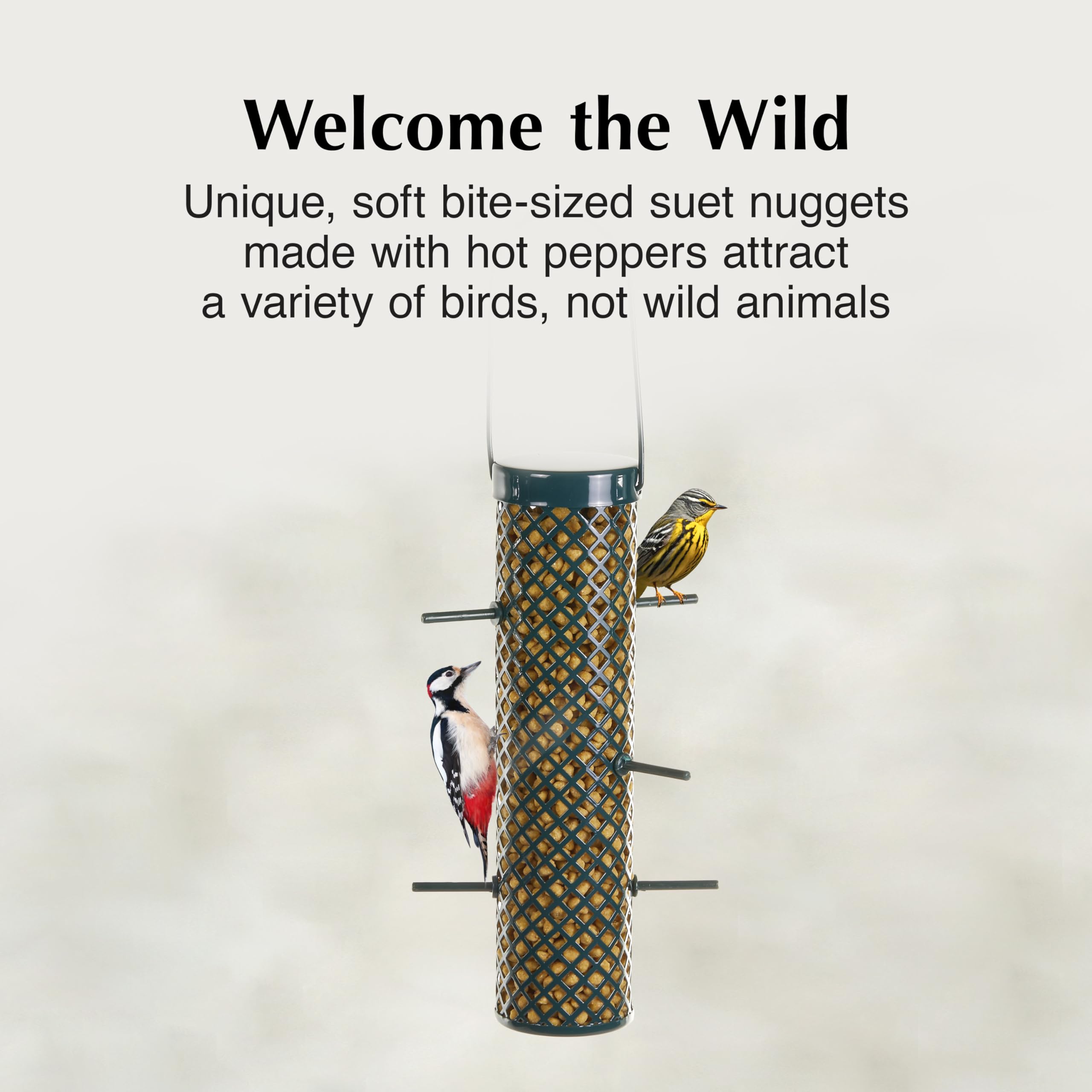 CS Hot Pepper Suet Nuggets provide quick energy for nuthatches.