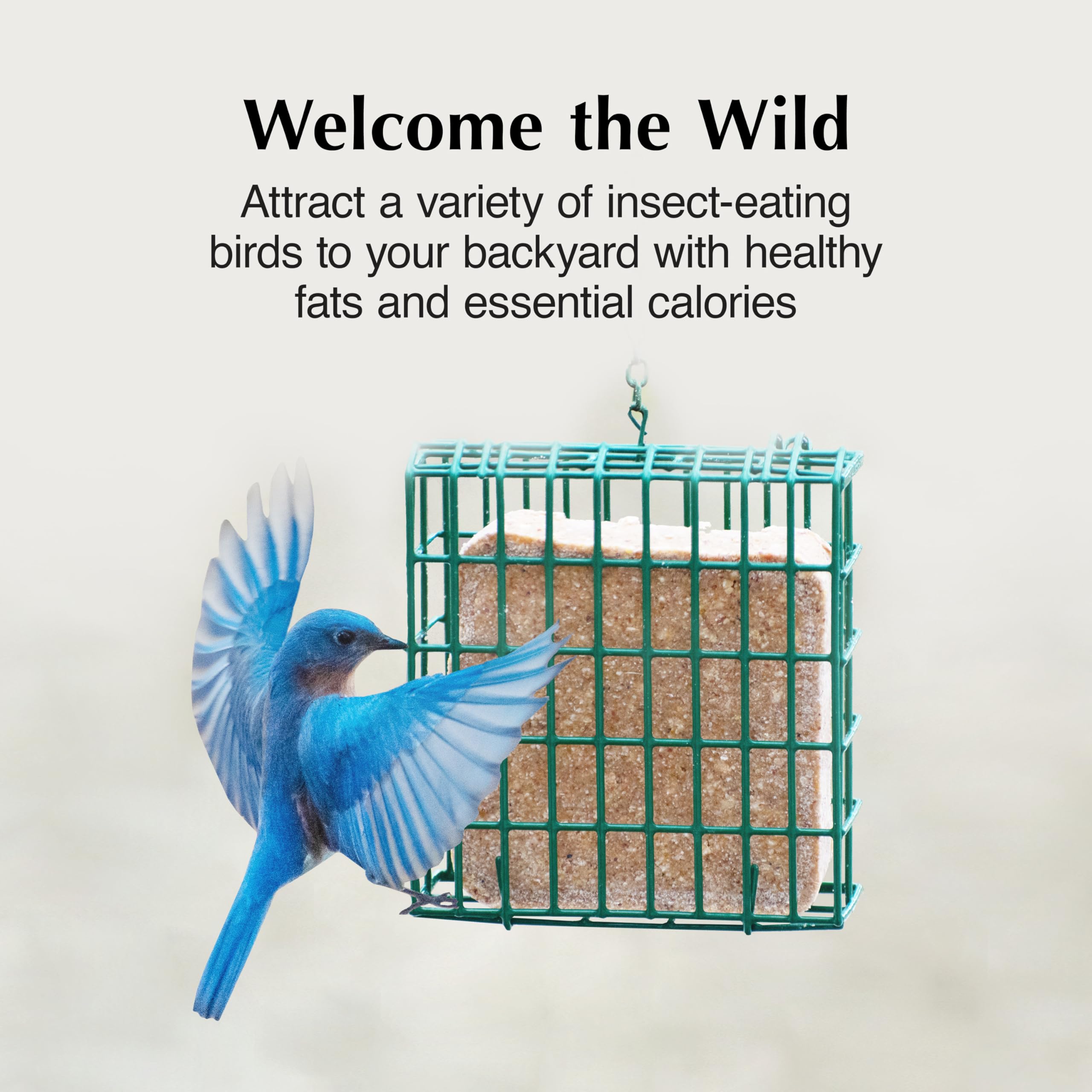 C&S Insect Suet Treat chickadee on cake, year-round energy for nesting.