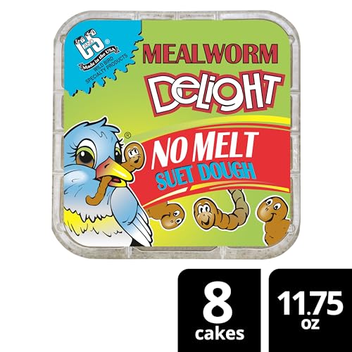 Year-round backyard activity with mixed species encouraged by this suet dough