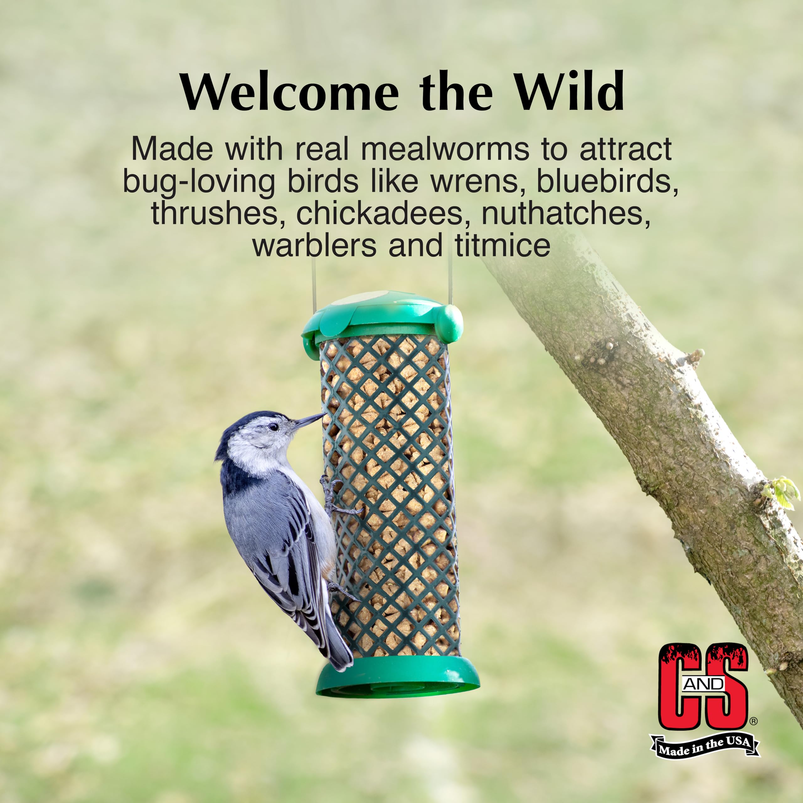C&S Mealworm Suet Nuggets on a platform feeder encouraging active foraging