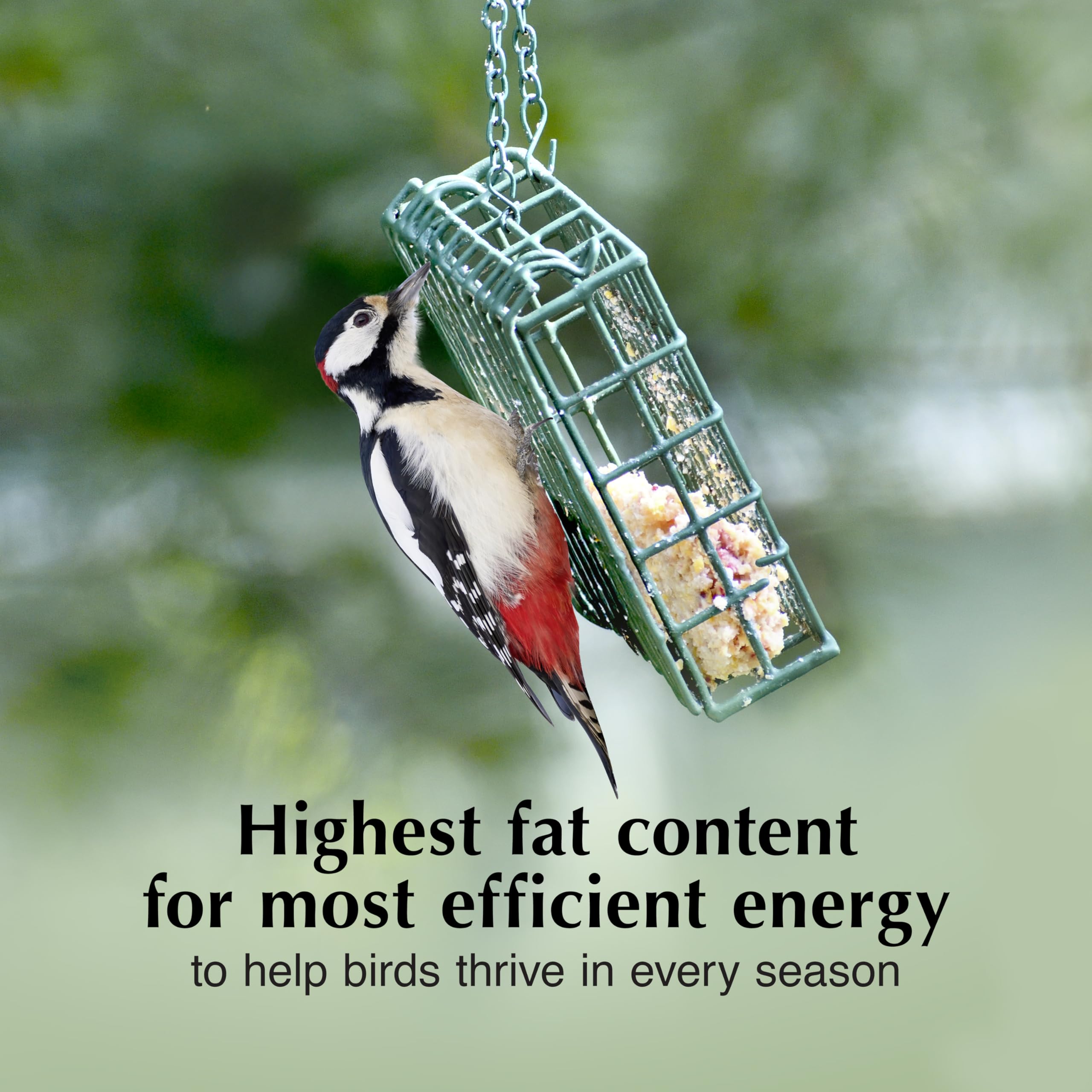 C&S Suet dough at feeder setup with bird feeder ready.