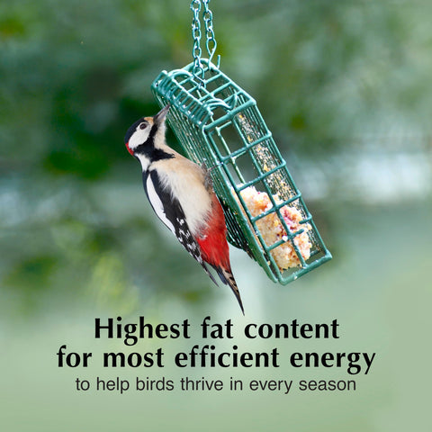 C&S Suet dough at feeder setup with bird feeder ready.