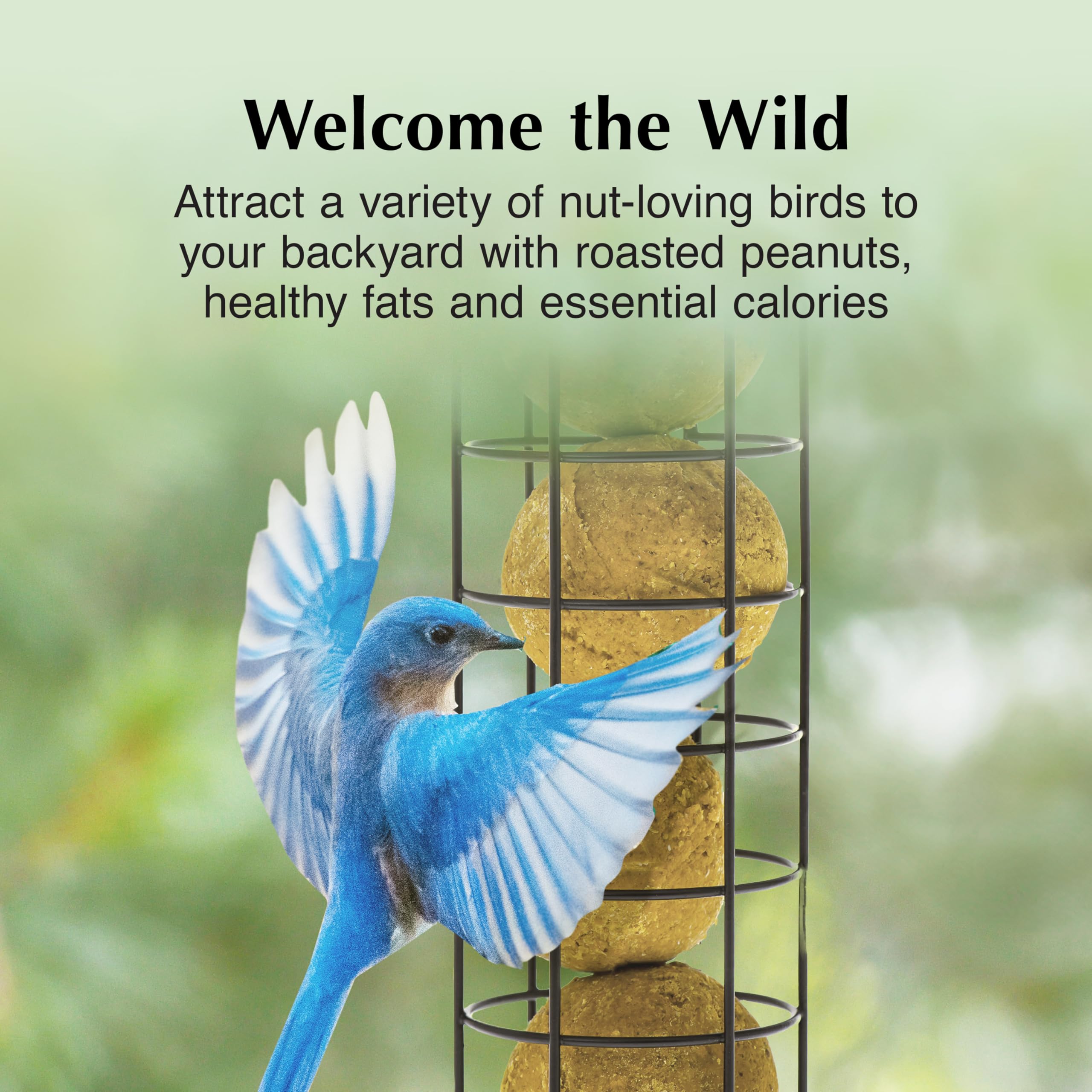 C&S Peanut Delight No Melt Dough Balls woodpecker-visit attracts protein-rich birds