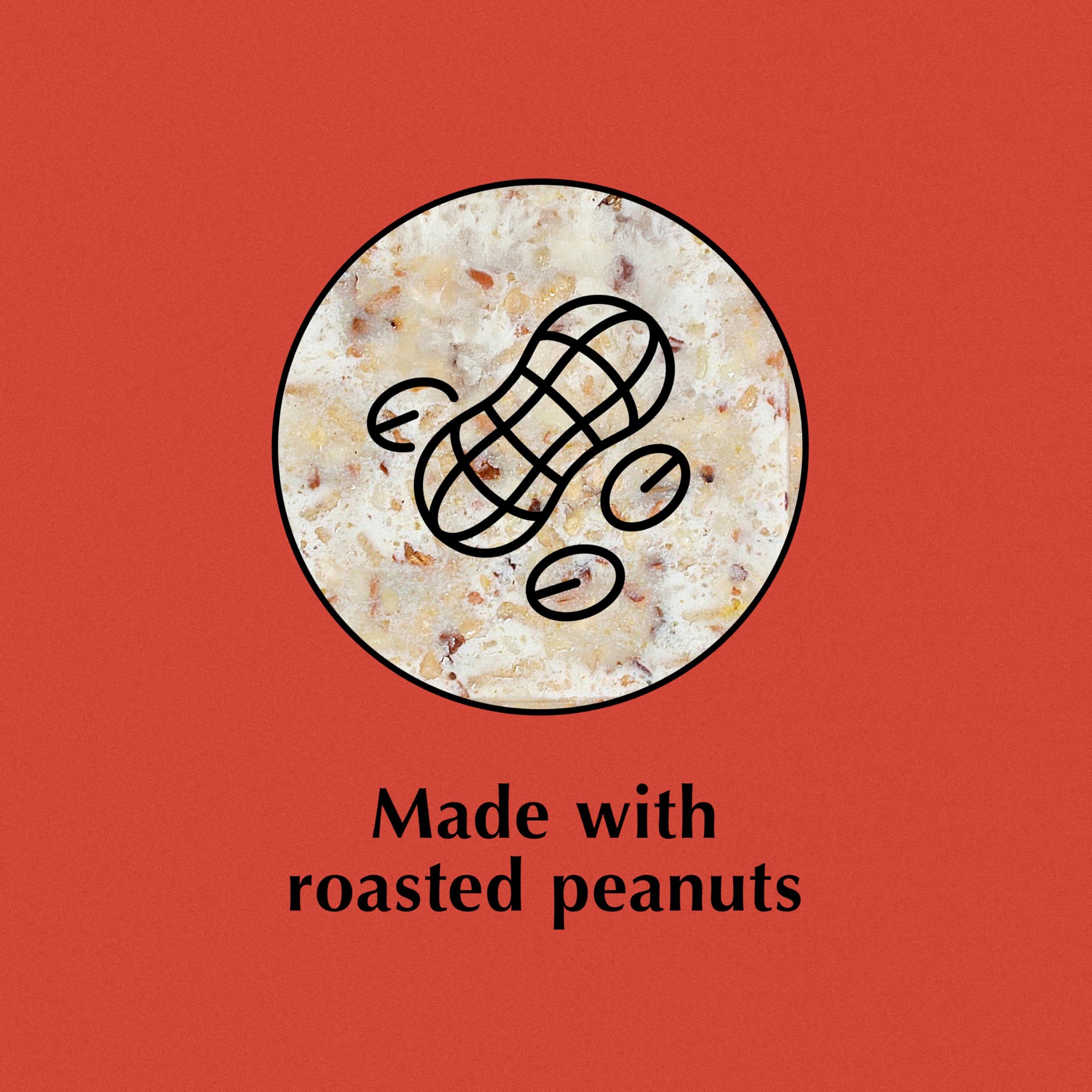 CS Peanut Suet Treat USA-made label signals trusted quality.