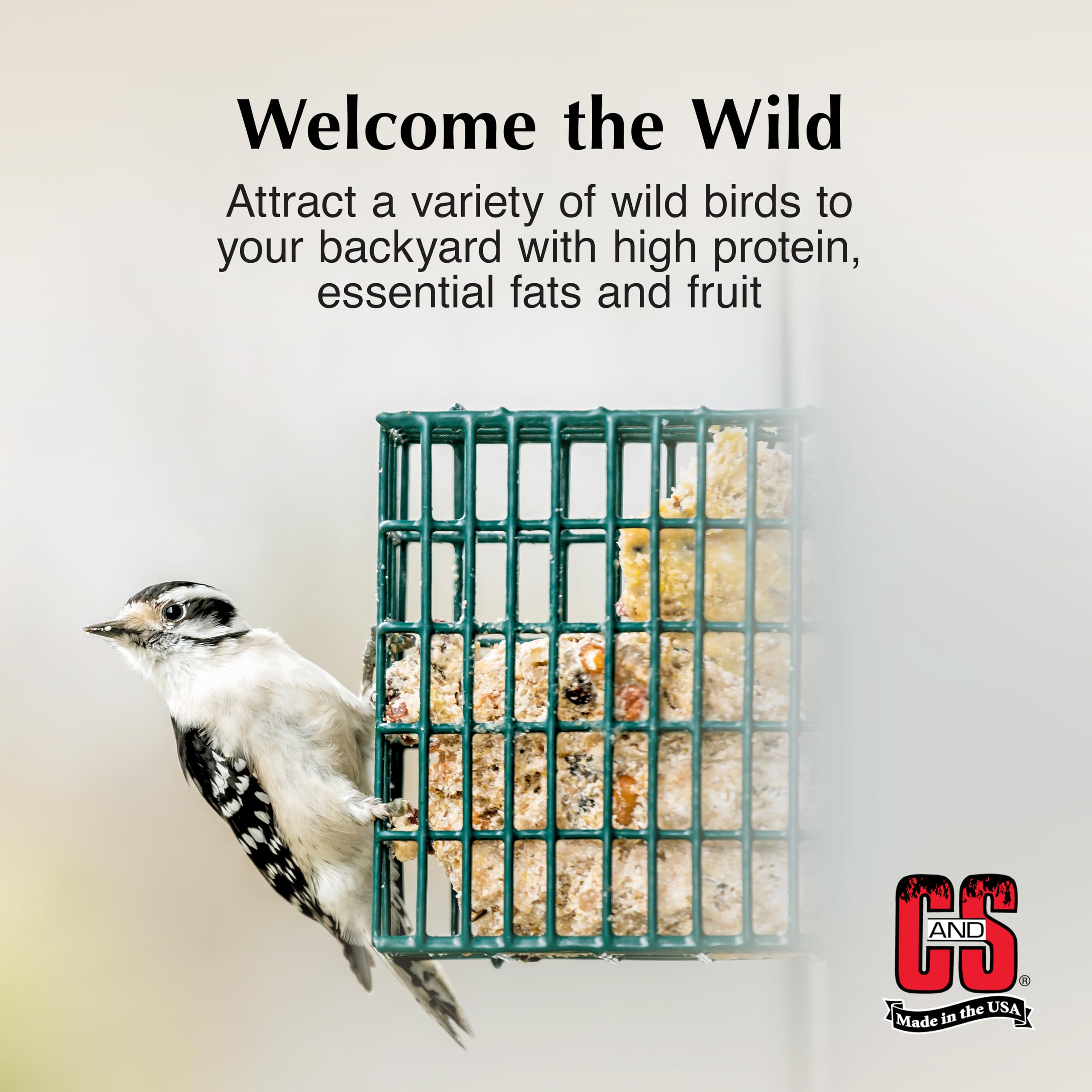 C&S Suet Variety Value Pack berry-suet-cake supports year-round backyard bird energy