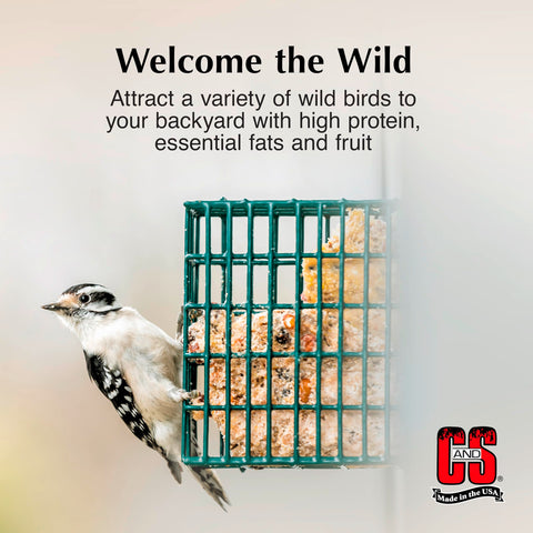 C&S Suet Variety Value Pack berry-suet-cake supports year-round backyard bird energy