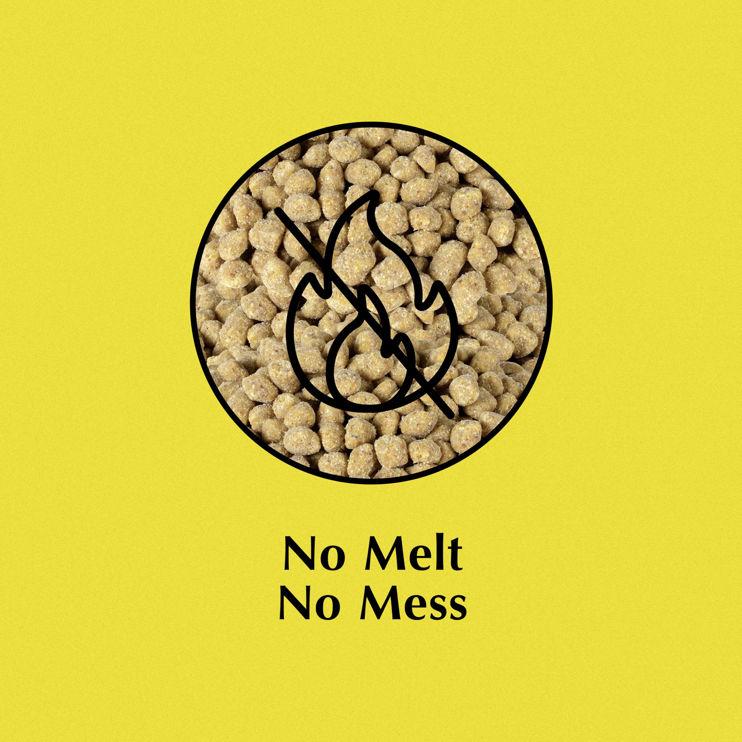 Nugget feeder with C&S Sunflower Suet Nuggets for clean handling