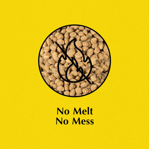 Nugget feeder with C&S Sunflower Suet Nuggets for clean handling
