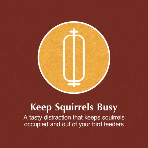 Backyard wildlife watchers enjoy steady entertainment with the C&S Squirrelog in view.