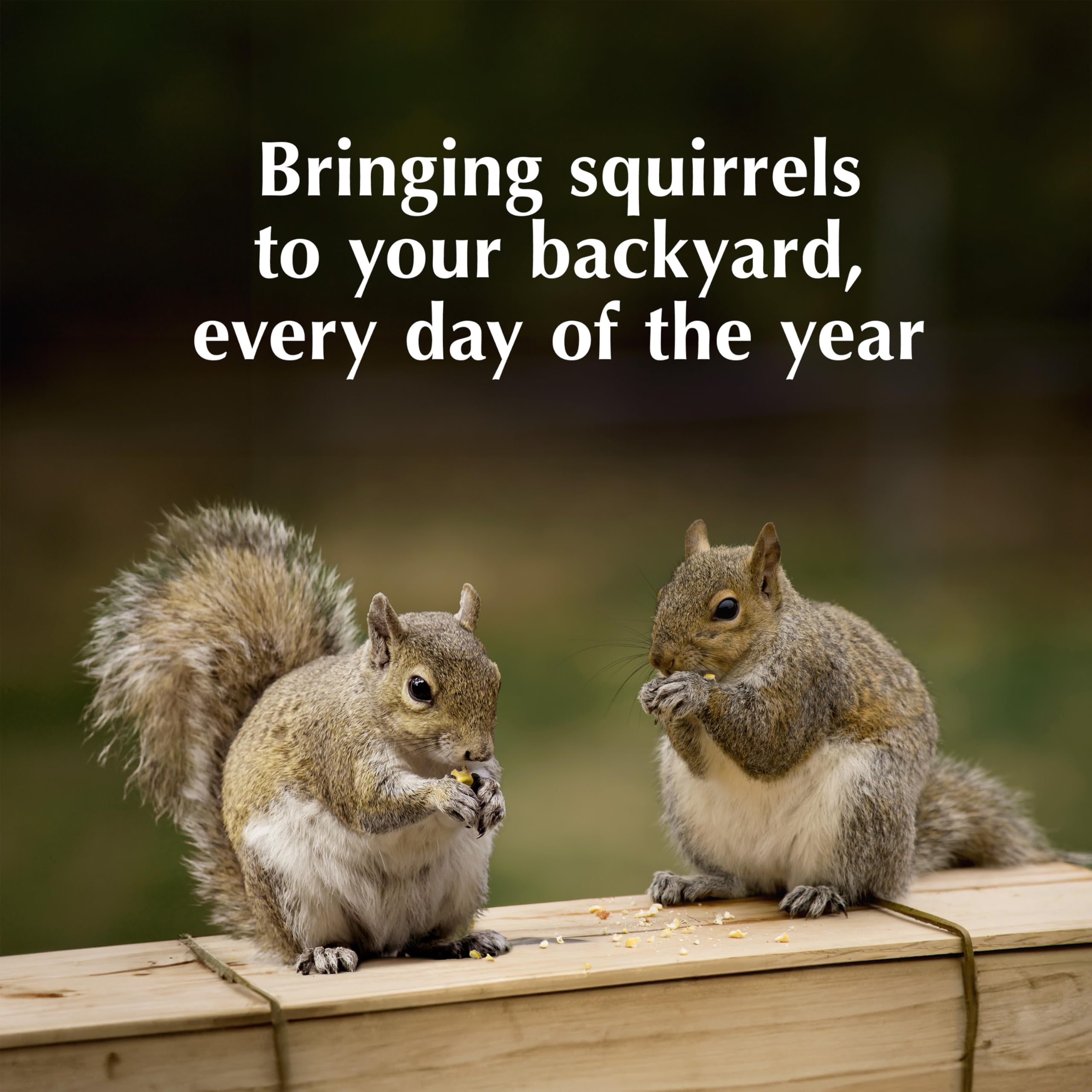 Long-lasting feeding from a single log reduces refills and maintenance.