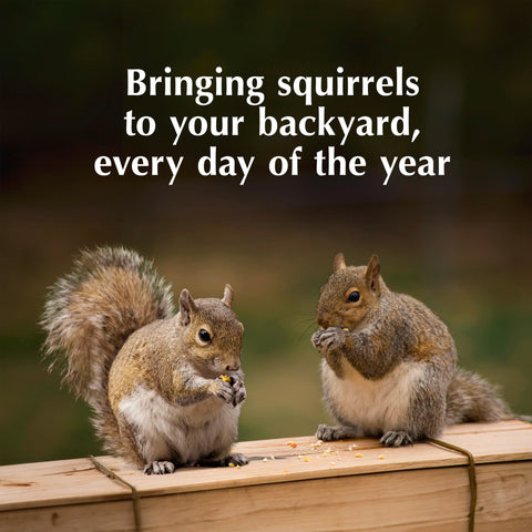 Long-lasting feeding from a single log reduces refills and maintenance.