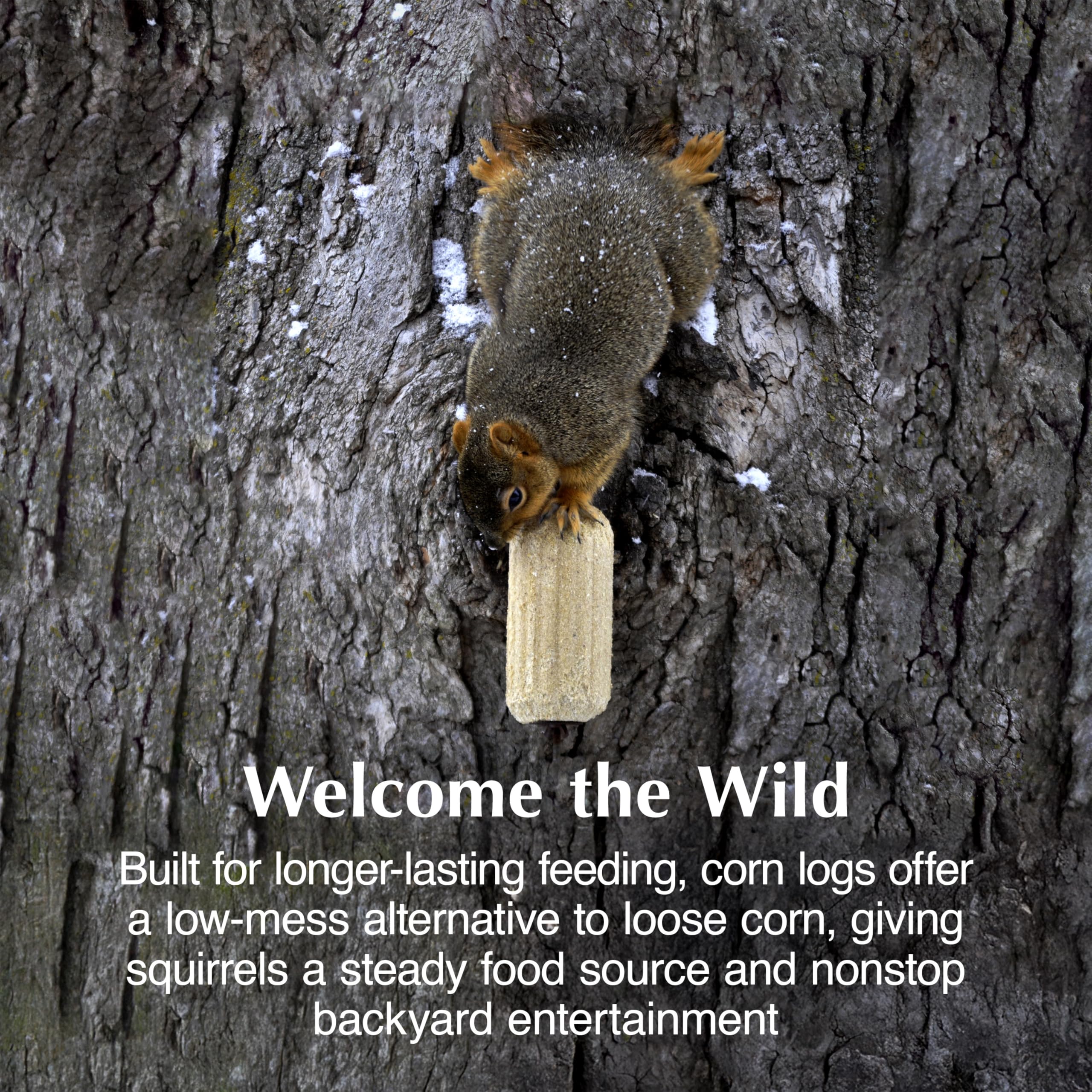 C&S Squirrelog stick aligned under feeder, reducing waste and keeping the area cleaner.