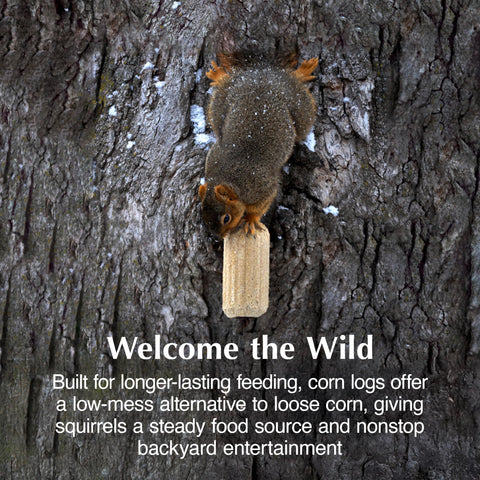 C&S Squirrelog stick aligned under feeder, reducing waste and keeping the area cleaner.