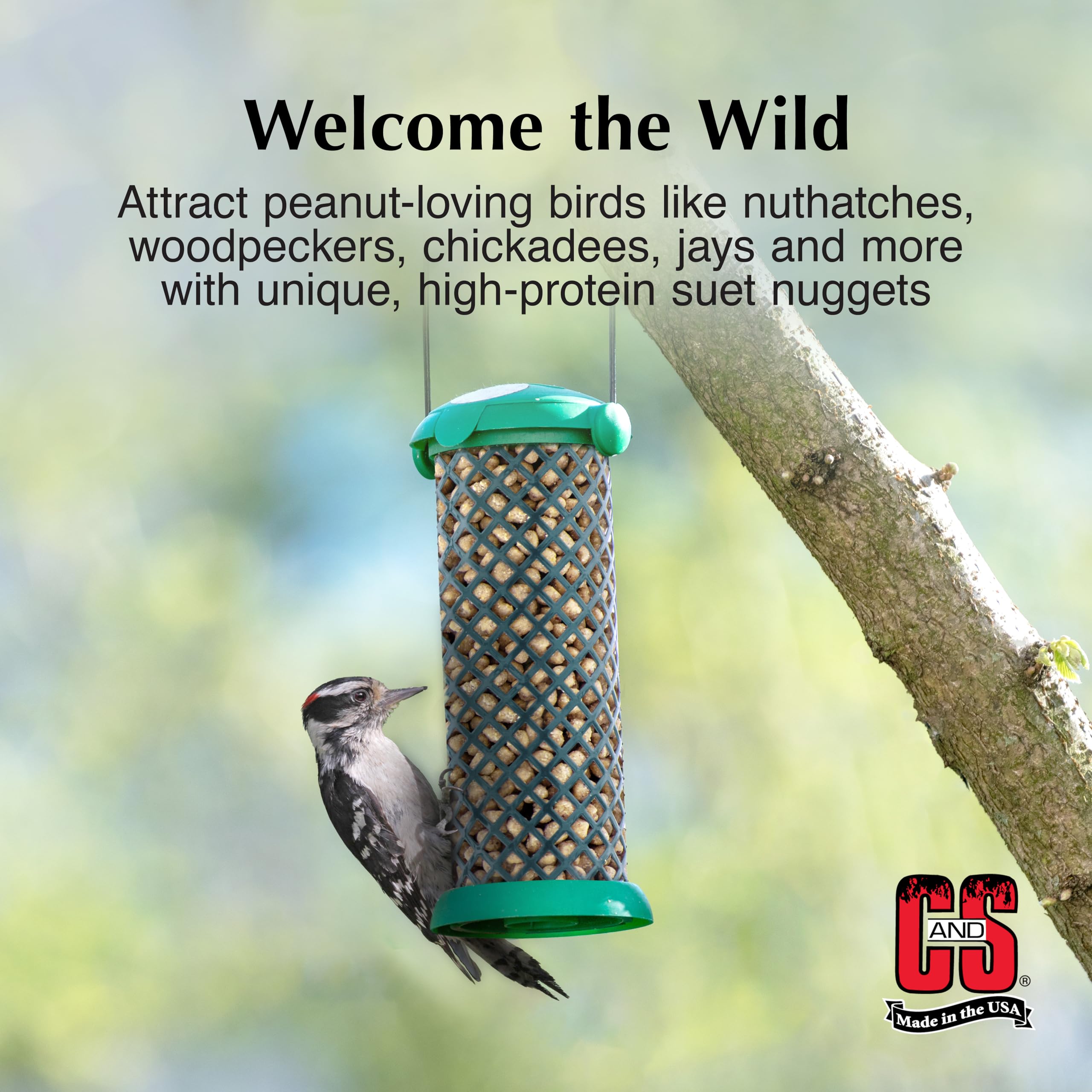 C&S Wild Bird Suet Nuggets are versatile for mixed seed or solo feeding.