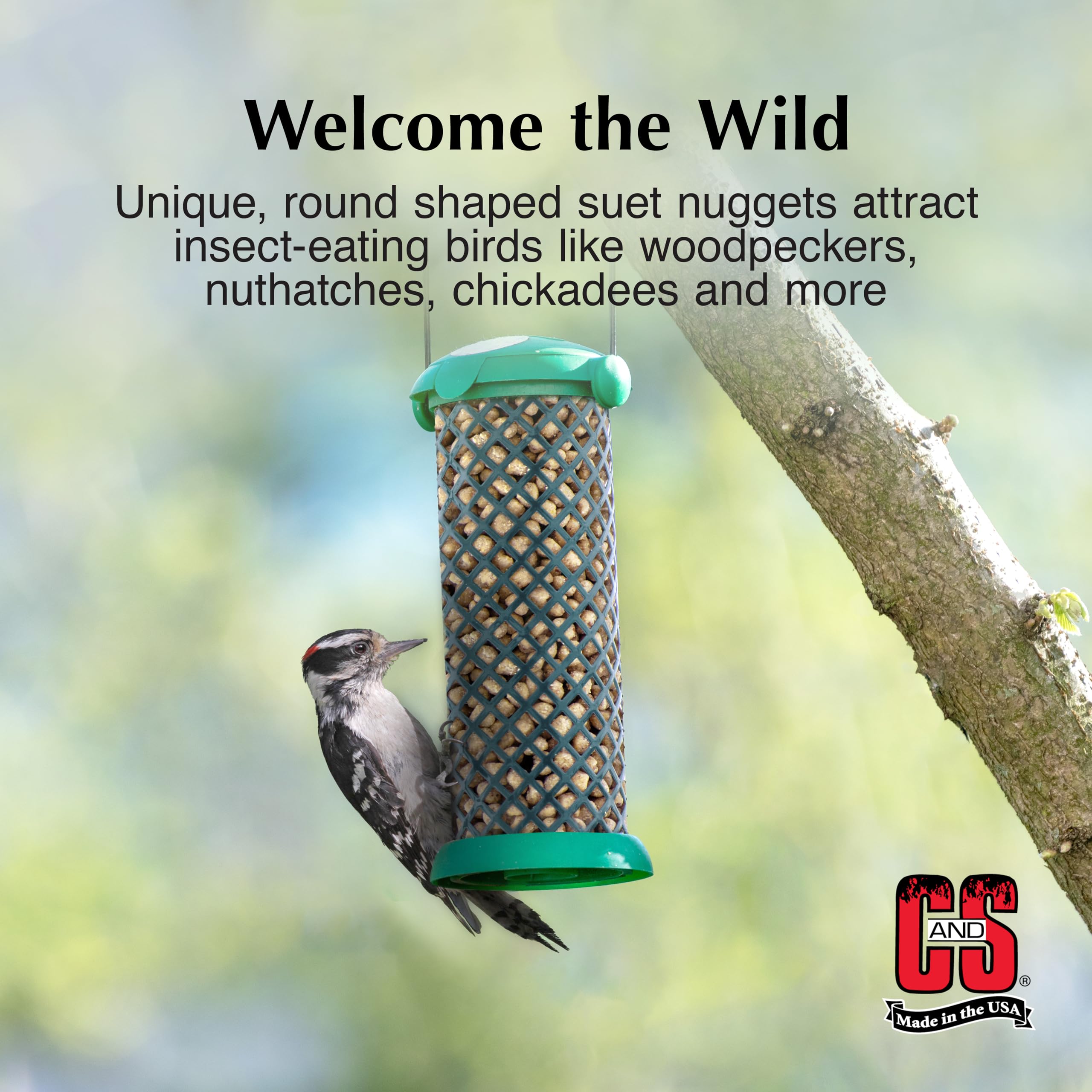C&S Woodpecker Suet Nuggets attracting a woodpecker to the feeder