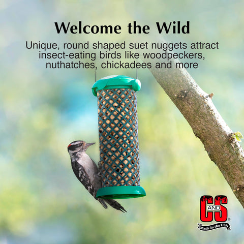 C&S Woodpecker Suet Nuggets attracting a woodpecker to the feeder