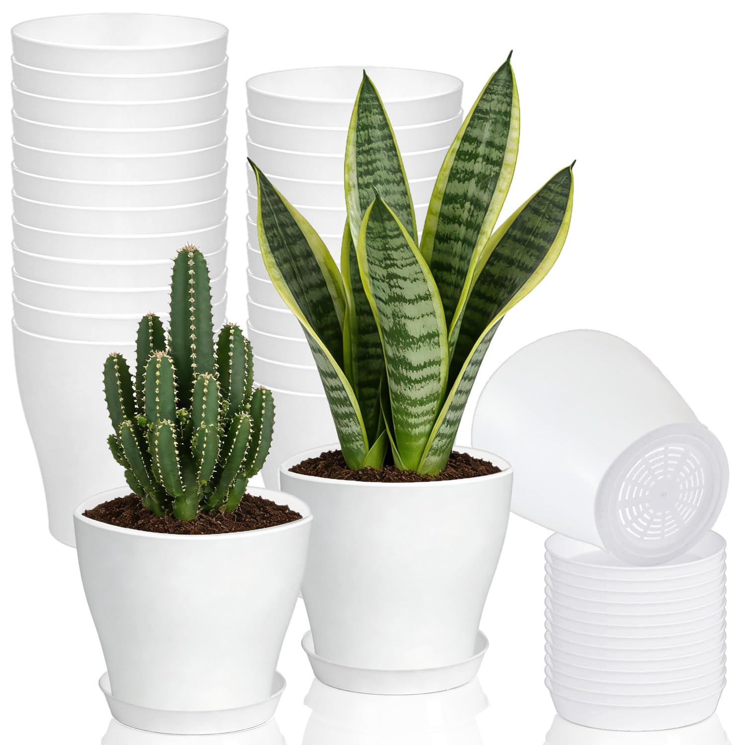 Cshangzei 24-piece white 4-inch pot set on windowsill for indoor decoration.