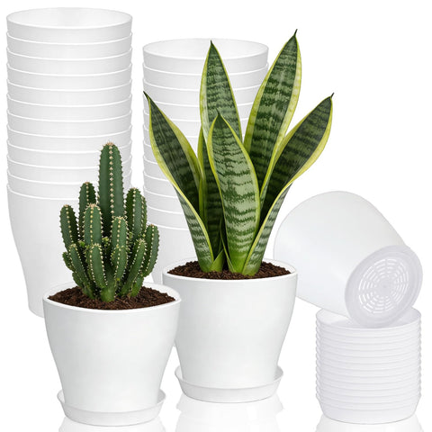 Cshangzei 24-piece white 4-inch pot set on windowsill for indoor decoration.