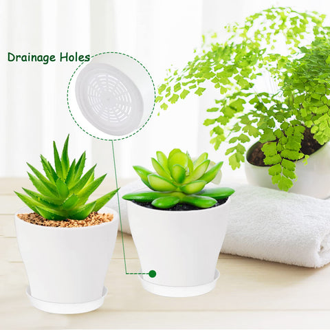 Cshangzei 4-inch pot opening and bottom diameter detail for accurate sizing.