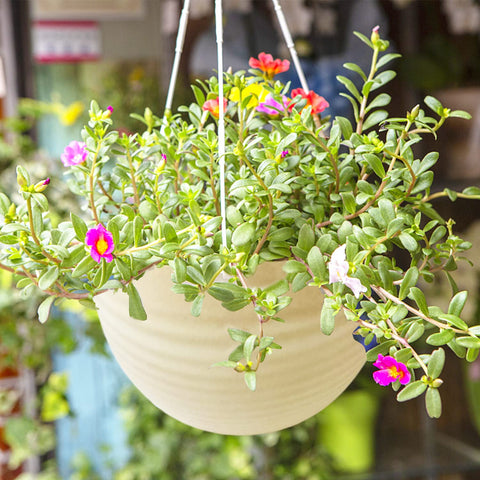 Cshangzei creamy-white self-watering hanging planter creates soft accents with easy care.