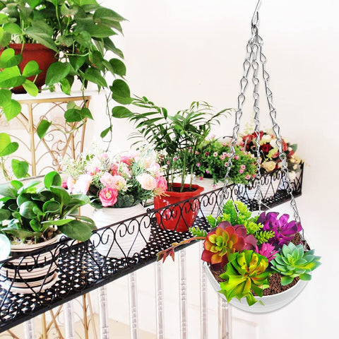 Cshangzei indoor-outdoor display ideal for succulents, herbs, or flowers.