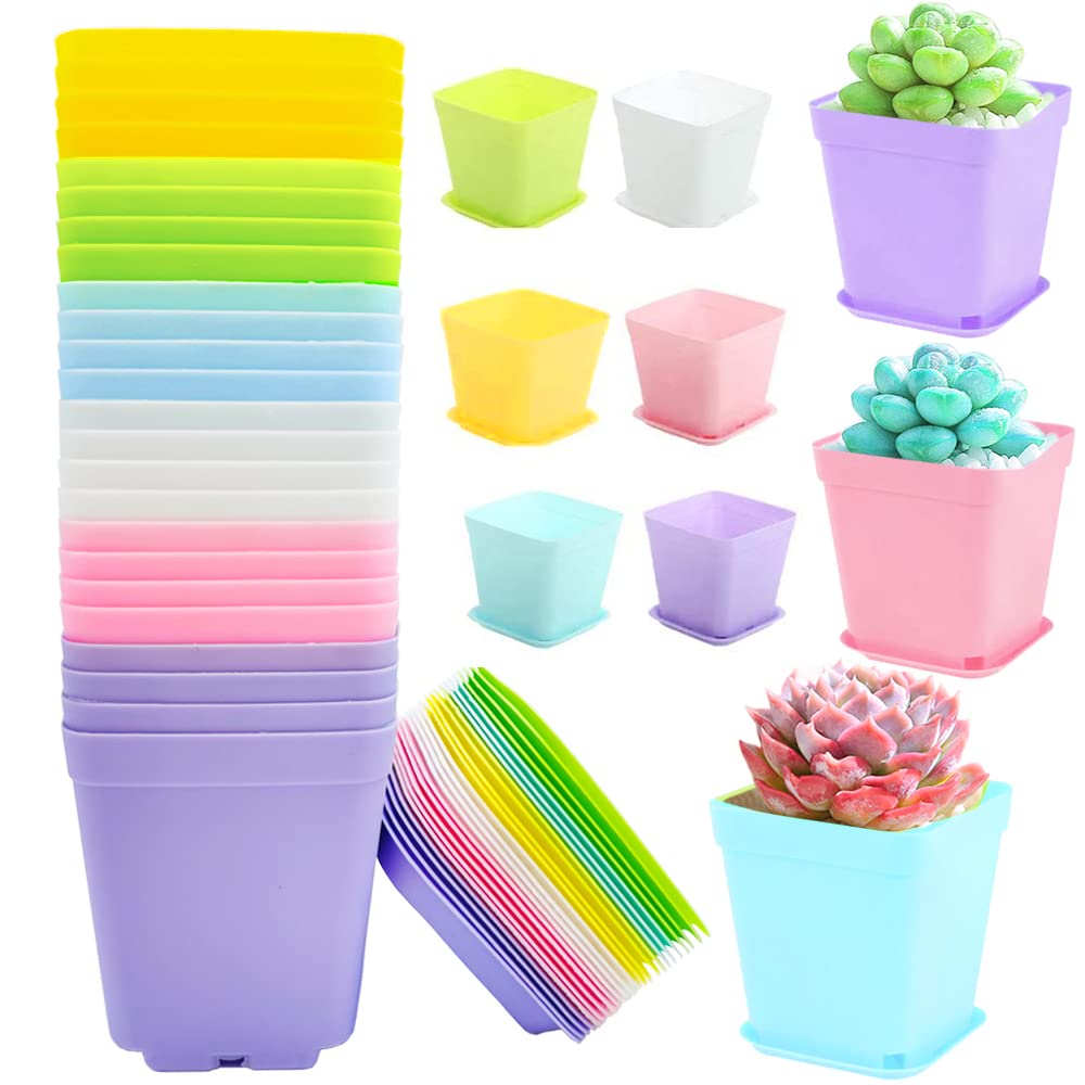Cshangzei square pots in 6 colors ideal for seed starting and color-coordinated displays