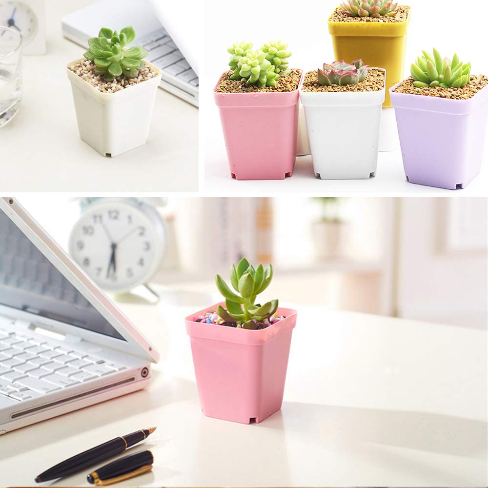 Cshangzei 24-pack planters with drainage holes support healthy root development