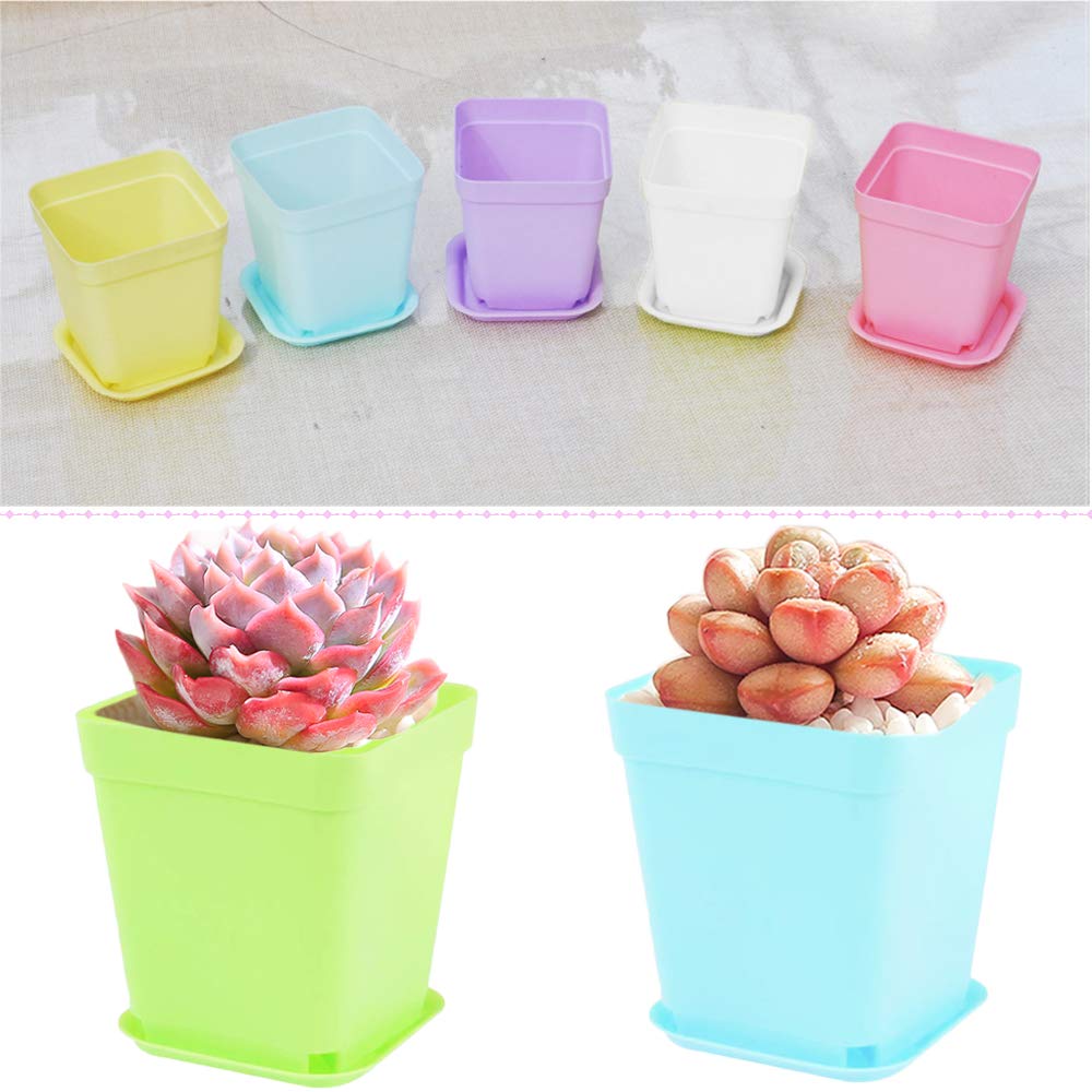 Cshangzei succulent pots lightweight durable containers for indoor décor and growth