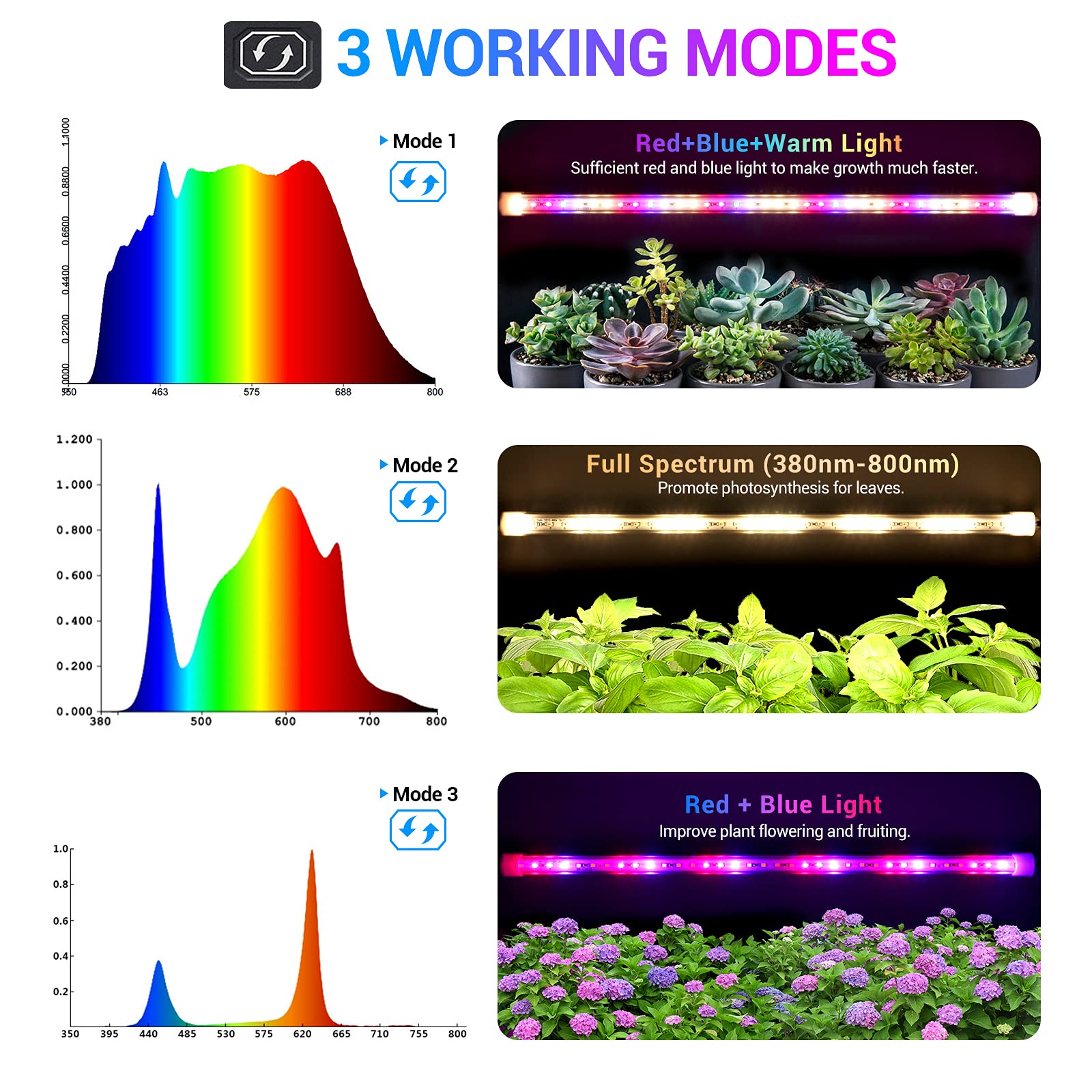 CT CAPETRONIX LED strip auto timer in action for reliable schedules